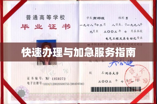 营山快速办理与加急服务指南