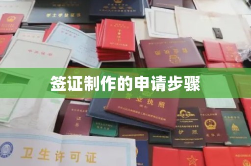 营山签证制作的申请步骤