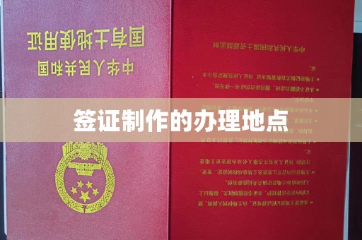 营山签证制作的办理地点