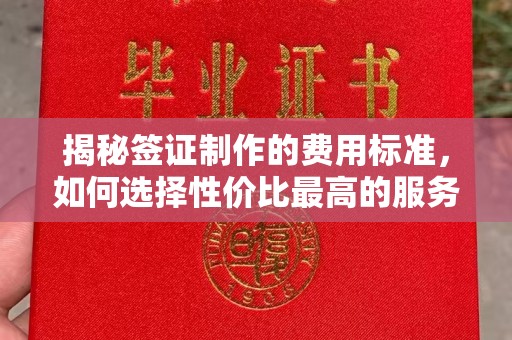 营山揭秘签证制作的费用标准，如何选择性价比最高的服务？